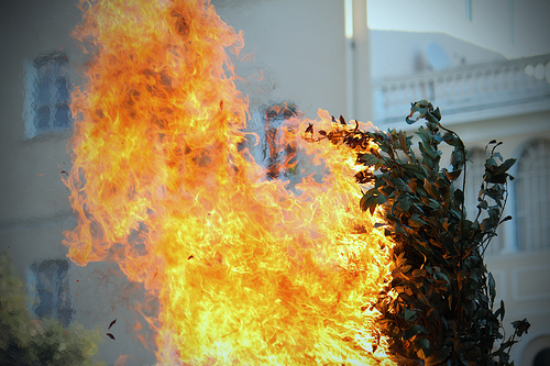 File:CONFUOCO 01.jpg