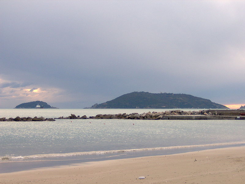 File:PALMARIA 010.jpg