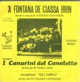 'A FONTANA DE CIASSA BRIN 01.JPG