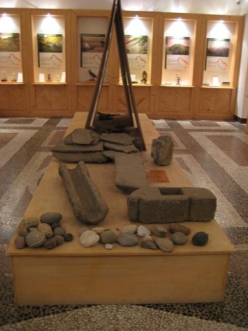 MUSEO DI STORIA NATURALE DELLA LUNIGIANA 01.jpg