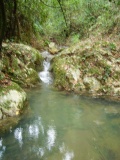 La sorgente del Canale Redarca