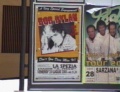 Dylan poster Spezia.jpg