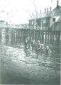 LA SPEZIA bagno Nettuno la rotonda sul mare.jpg