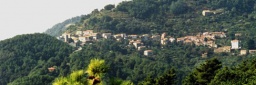 LA SPEZIA CAMPIGLIA PANORAMA.jpg